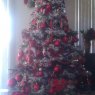 Faye Dawood's Christmas tree from USA