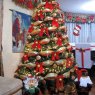 Silvana Palacios's Christmas tree from Quito, Ecuador