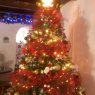 Jessie Amarista's Christmas tree from Maturin, Venezuela