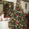 Antonella Galeazzi's Christmas tree from Santa Fe, Argentina
