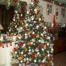 Bibi Mamani Mattaliano's Christmas tree from Argentina