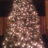 Weihnachtsbaum von Susana S. (Los Angeles, CA, USA)