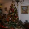 Mary & Alberto Palomares's Christmas tree from Caracas, Venezuela