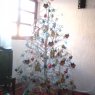 Meily Gregorio Sánchez's Christmas tree from México D.F.