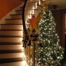 Weihnachtsbaum von Lisa (Toronto, Ontario, Canada)