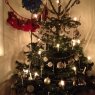 Petra 's Christmas tree from Frankfurt, Germany