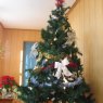 Emma Riesgo's Christmas tree from Asturias, España