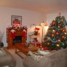 Linda Teal's Christmas tree from USA