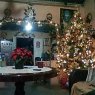 Judith Perez Noriega's Christmas tree from Villa Oluta, Veracruz, México