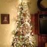 Weihnachtsbaum von Mirella Vindiola (Tuscon, AZ, USA)