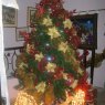 famila Ruiz Montoya's Christmas tree from Medellin, Colombia