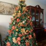evelyn bulic del castillo's Christmas tree from Lima, Peru