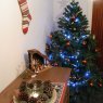 Juan David 's Christmas tree from Logroño, España
