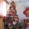 Alexandra Navarro 's Christmas tree from Edo Anzoategui, Venezuela