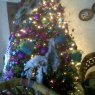Weihnachtsbaum von Juan Carlos Contreras (Teocelo, México)