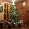 Familia Rioja-Campos's Christmas tree from Arica, Chile