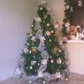 Glenis Gonzalez's Christmas tree from Monagas, Venezuela