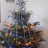 Melis-Jullien's Christmas tree from Bandol, France