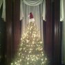 Árbol de Navidad de Emily (Boston, MA, USA)