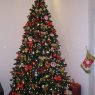 Alvaro Da Luz's Christmas tree from Paris, Francia