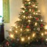 Steven's Christmas tree from Gondelsheim, Deutschland/Germany
