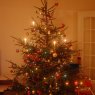 Ingars's Christmas tree from Riga, Latvia