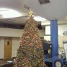 Clay Haws's Christmas tree from Caliente, Nevada, USA