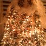 Guerino Francitti's Christmas tree from Huntingdon Valley, PA, USA