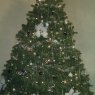 Kayla's Christmas tree from Taunton, MA, USA