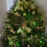 Martha Piñero Merchan's Christmas tree from Valencia, Venezuela