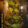 fam.. salazar telechea.'s Christmas tree from la paz. b.c.s