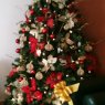 Diana's Christmas tree from Maracay, Venezuela