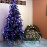Dalia Delgado Alvarez's Christmas tree from Nobol, Ecuador