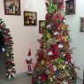 Lennis Osorio's Christmas tree from Puerto Ordaz, Bolivar, Venezuela