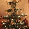 Antonia Schlosser's Christmas tree from Windeck, Deutschland