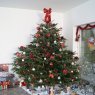 Olivier's Christmas tree from Thelus, France