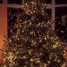 Weihnachtsbaum von Sophie Eloise (England)