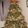 ayelen's Christmas tree from Argentina