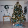 Ynés Ferro's Christmas tree from Valencia, Venezuela