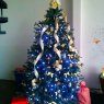 Merry Christmas 2012's Christmas tree from Mill Spring, North Carolina