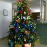Hotel Capilla del Sol's Christmas tree from Buenaventura, Colombia