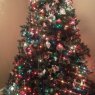 Alyssa's Christmas tree from Syracuse, New York, USA