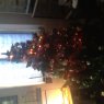 Cindy Desloovere's Christmas tree from France