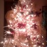 Gloria's Christmas tree from Panama