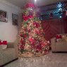 Weihnachtsbaum von Nancy de Altuve (Tachira, Venezuela)