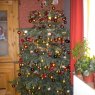 Fine5959's Christmas tree from Gonnelieu, France