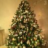 Weihnachtsbaum von Christine & Camille (Lille, France)