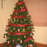 Maite's Christmas tree from Lliria, Valencia, España