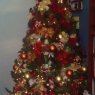 Gloria Del Sacramento's Christmas tree from Aragua, Venezuela