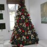 Essa's Christmas tree from Saint Omer, France